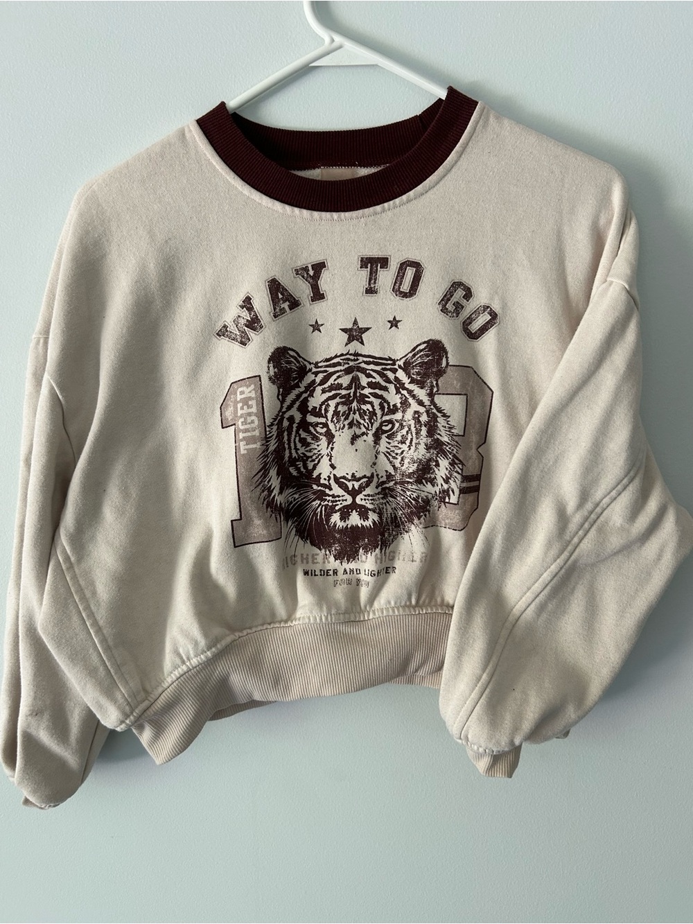 Tiger Graphic Cropped Sweatshirt